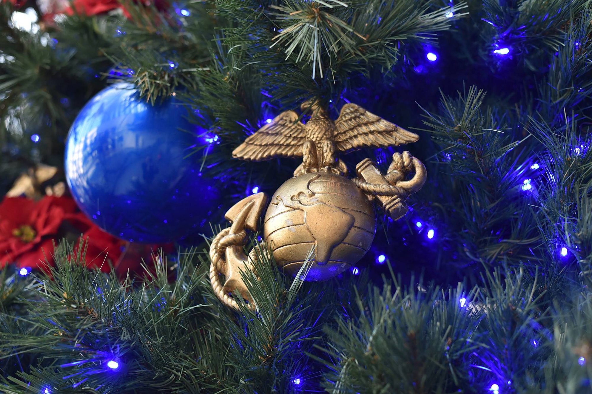 471820638_10161301290447880_9178976288506727241_n