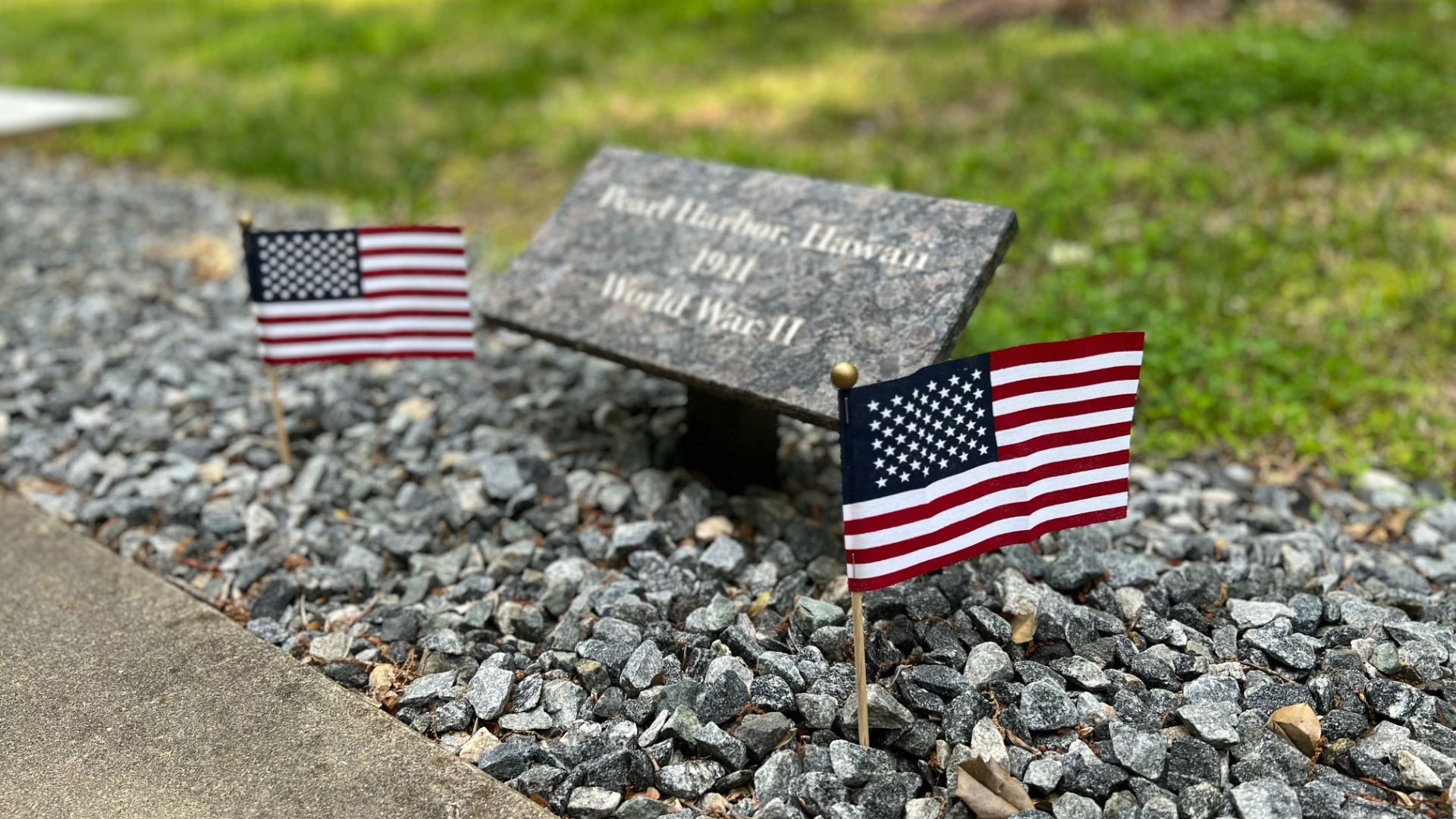 Flags in Park