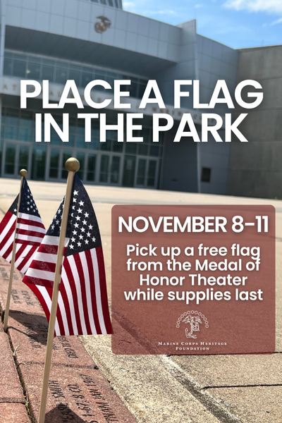 Flags in the Park 2025 Flyer (2)